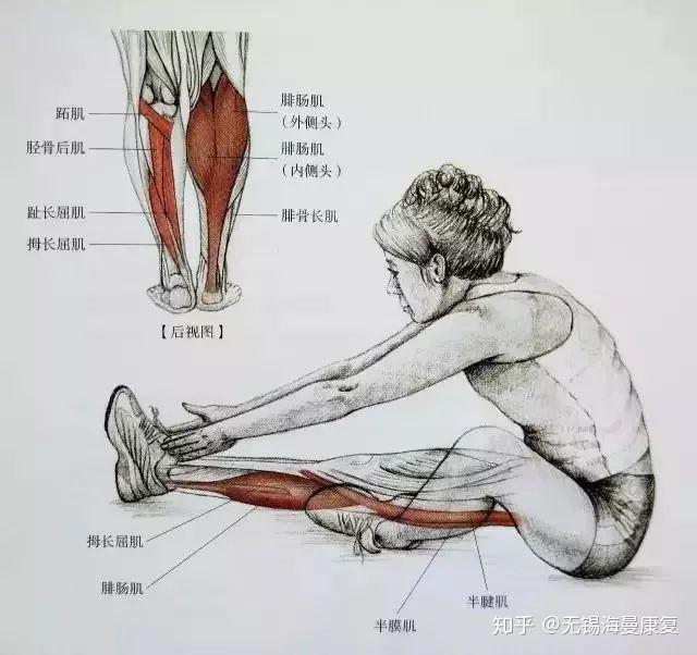 v2-a69ba28d0aba6c9d7ffe8e001e4677f6_r.jpg