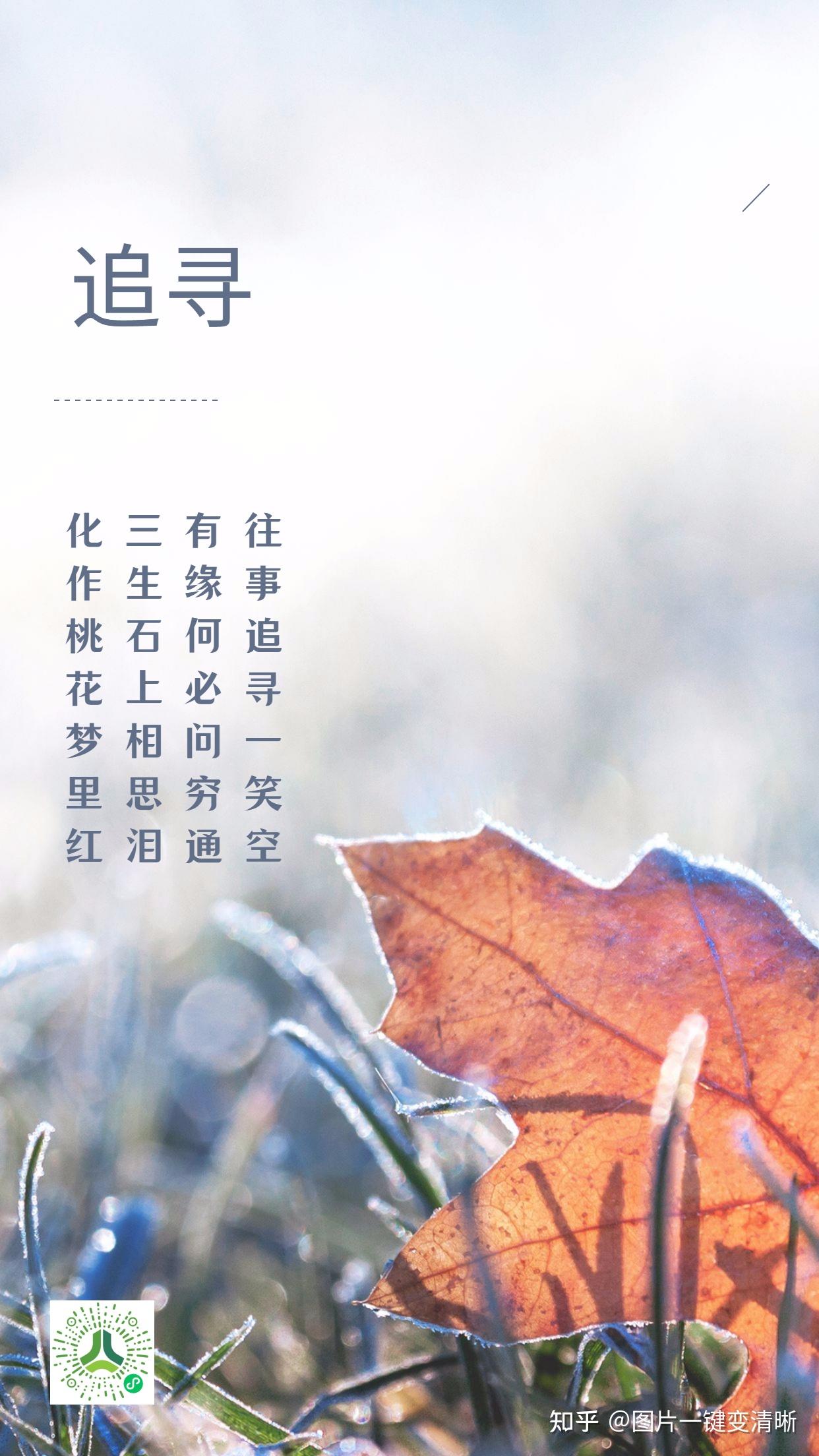 描写追寻的美好诗句 - 知乎