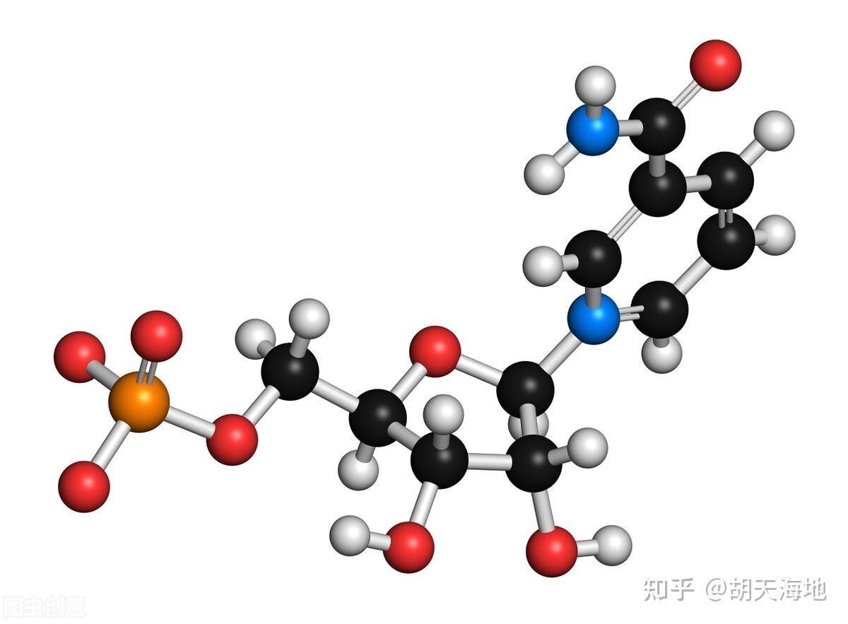 v2-a6ab81b6ff7b653d0fee61e50f763f56_r.jpg