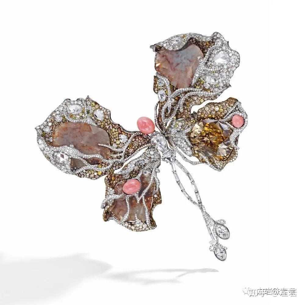 cindy chao 赵心绮