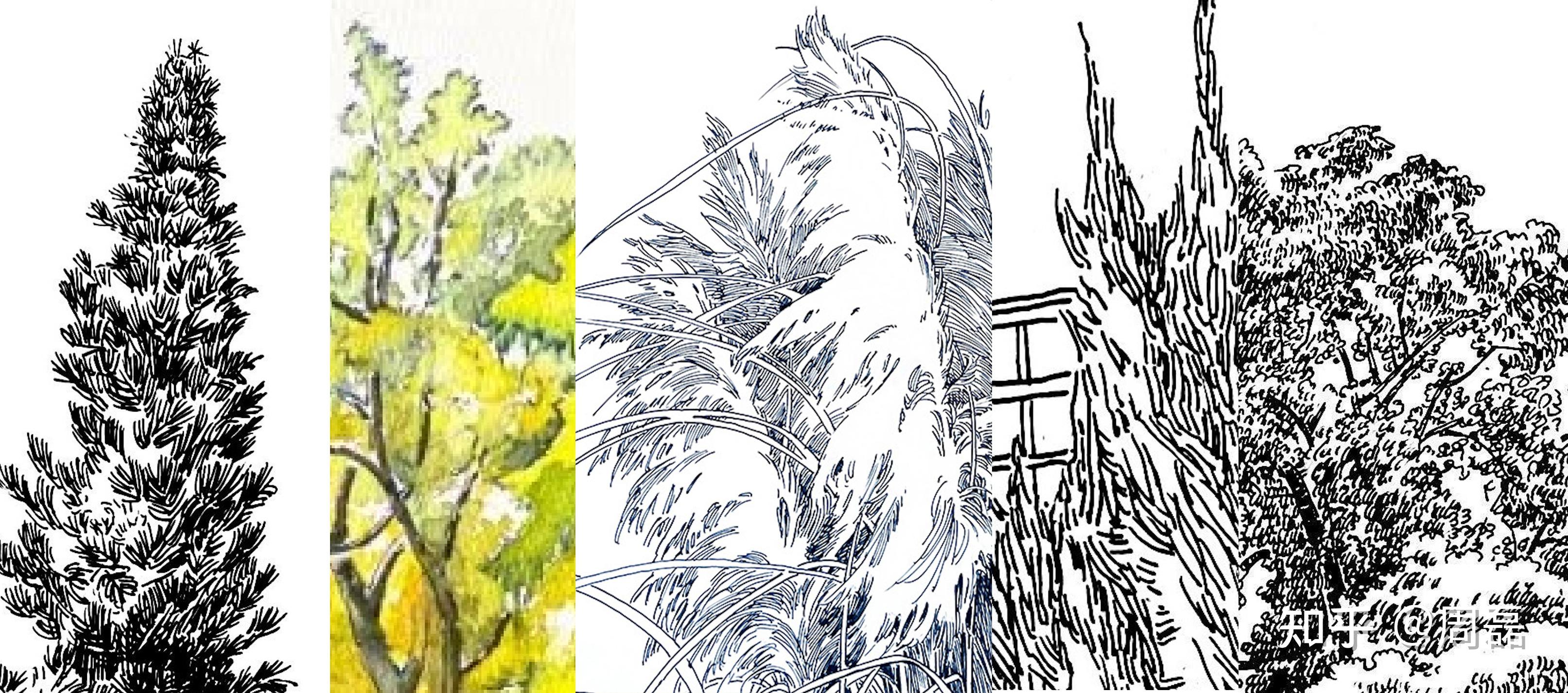 零基础速写入门（3）： 「线稿，轮廓」 - 知乎