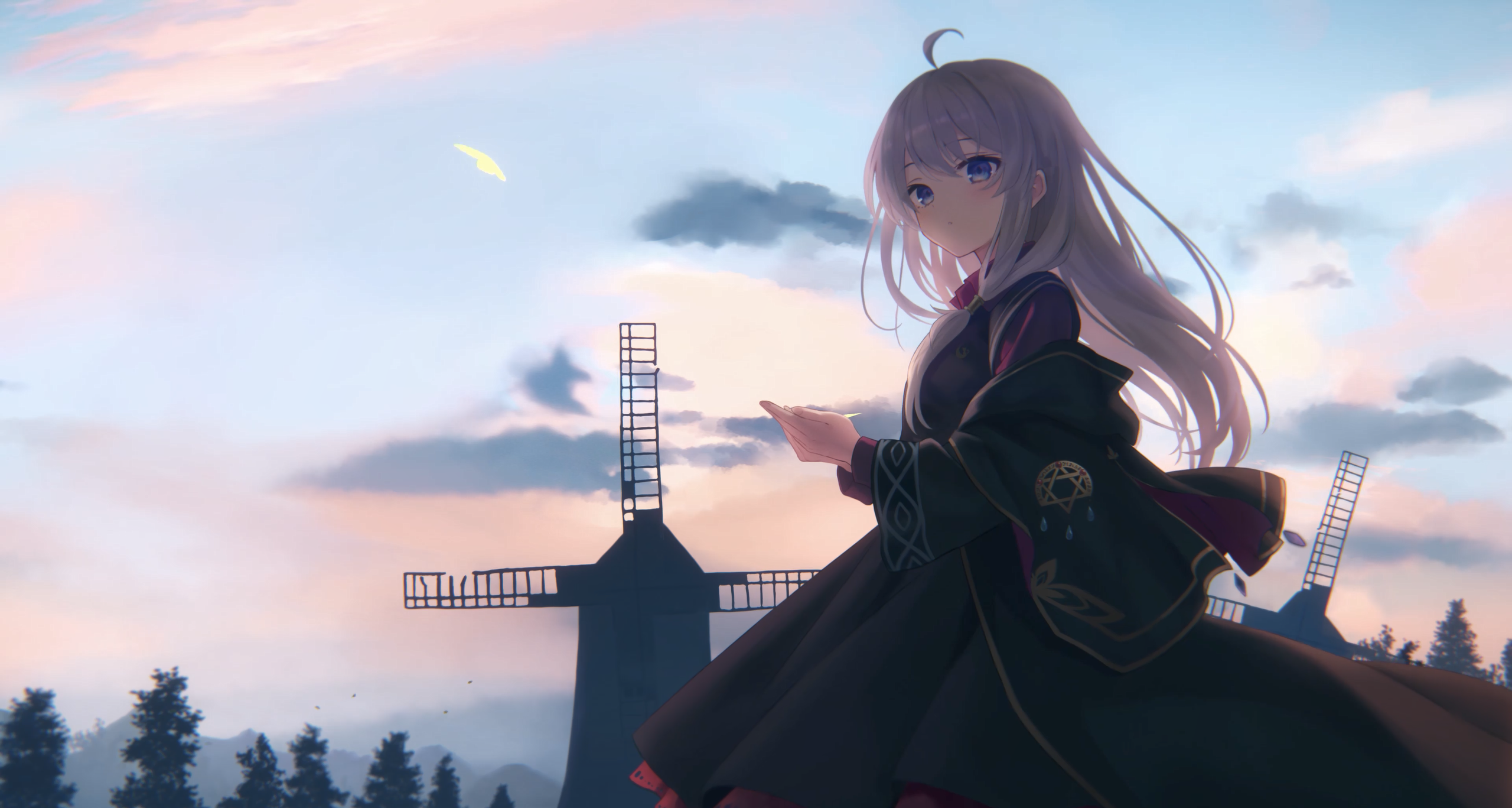 插图