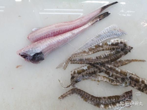 特鳍 这种别名为 八角 的鱼 到底有多香 知乎