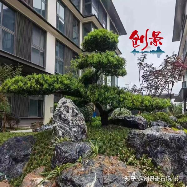 格雷少年