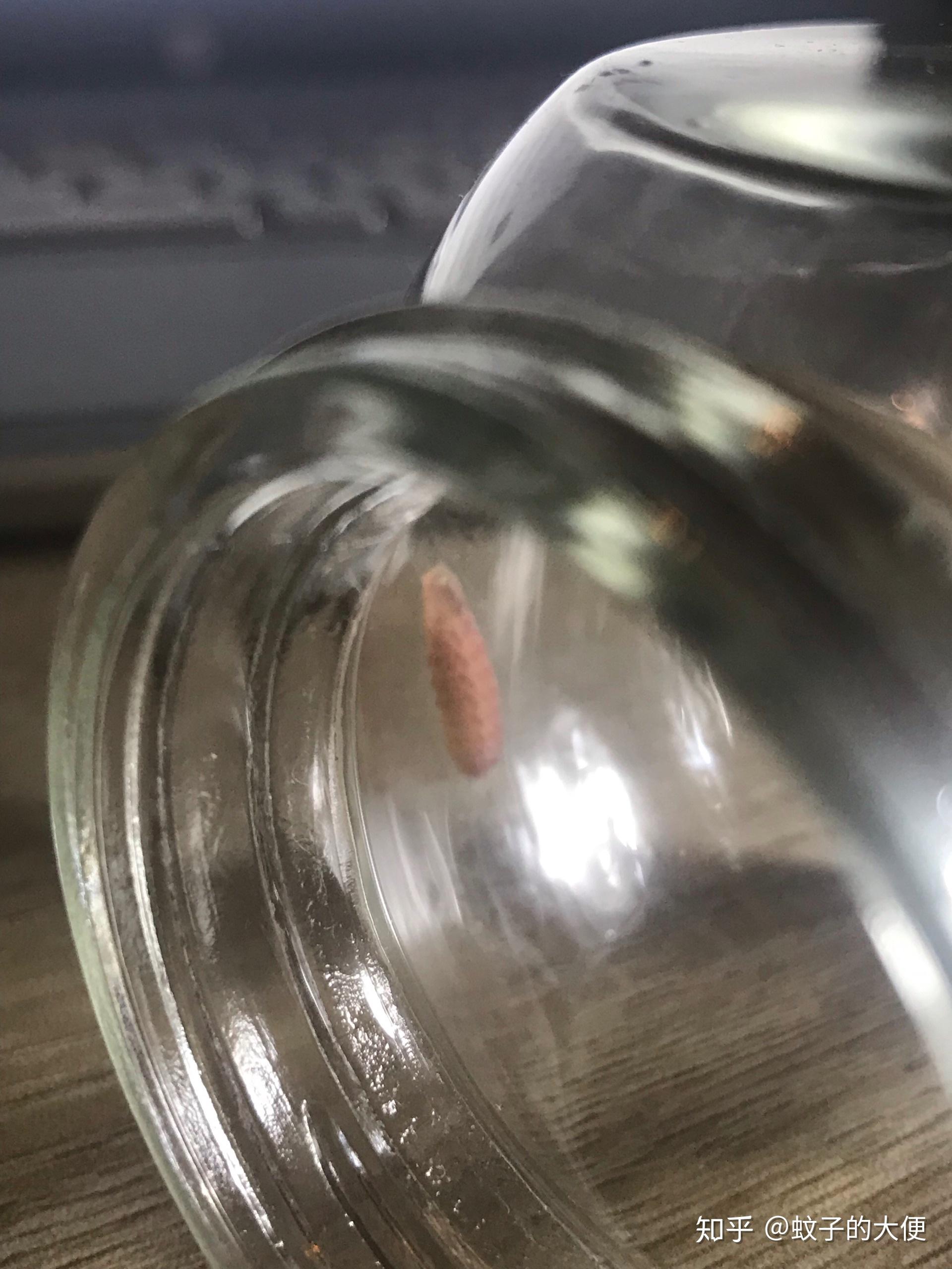 粉红色多足类幼虫求鉴别