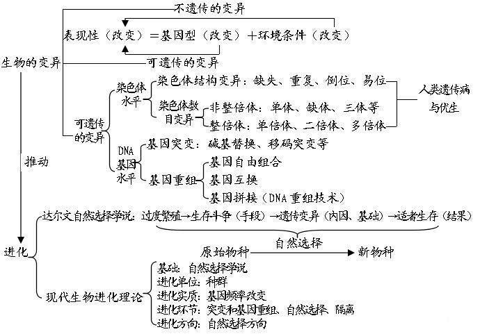 如何高效學習高中生物