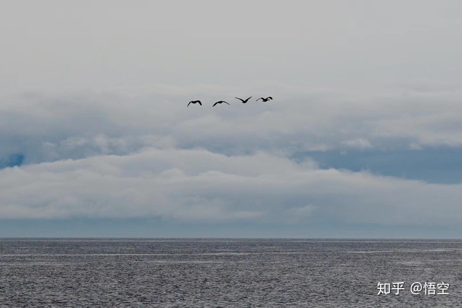 再见2019你好2020