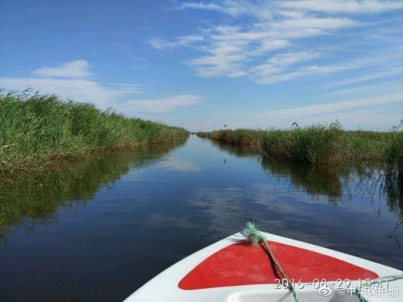 养殖户撤走后无人管理导致海兴湿地干涸