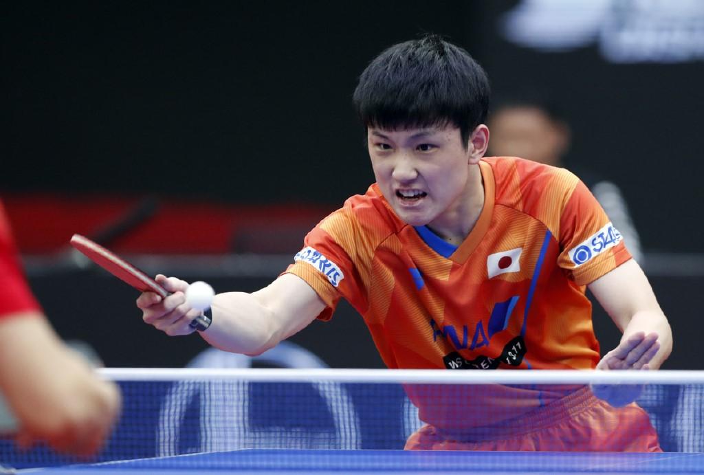 马龙精彩逆转再次打服张本智和男子世界杯决赛又见龙胖对决