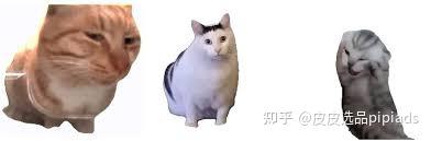 亲测7天开通20个TikTok美区橱窗号（赛道SOP） - 知乎