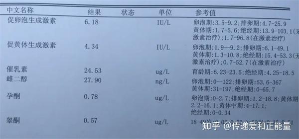 雌二醇 E2图片