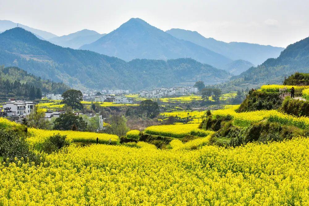 高風險清零3月最心動旅行清單出爐你準備好了嗎