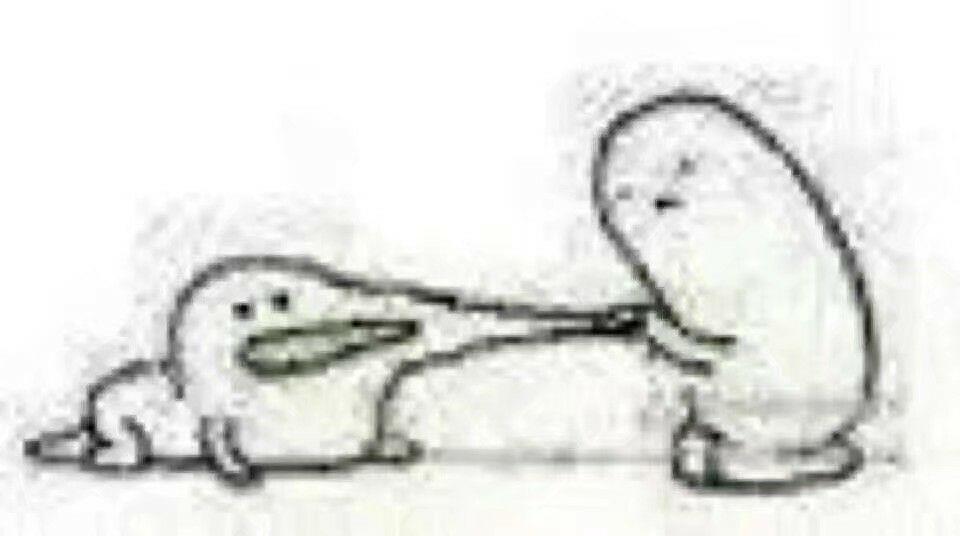 高考可以用圆珠笔吗?