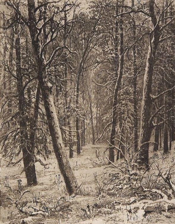 如果真心想学好素描就一定研究这些大师的作品希施金