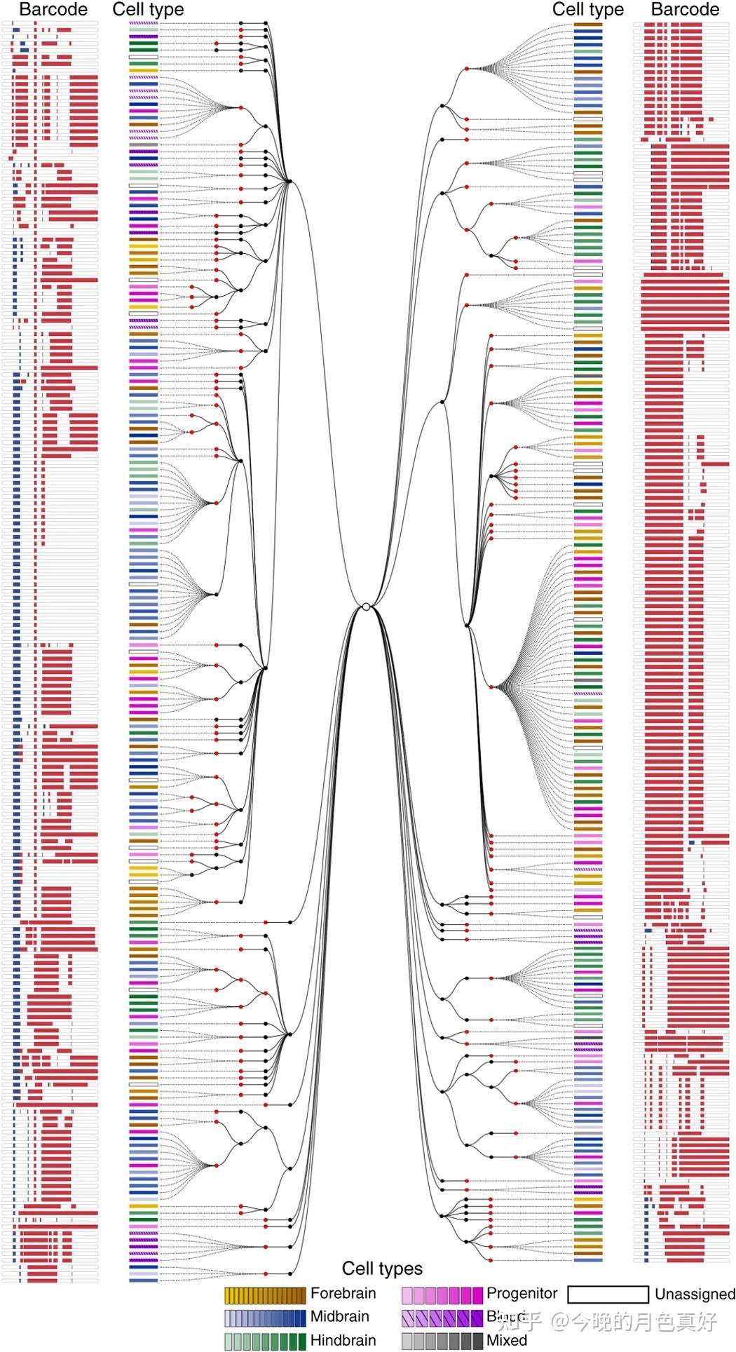 Simultaneous single-cell profiling of lineages and cell types in the ...