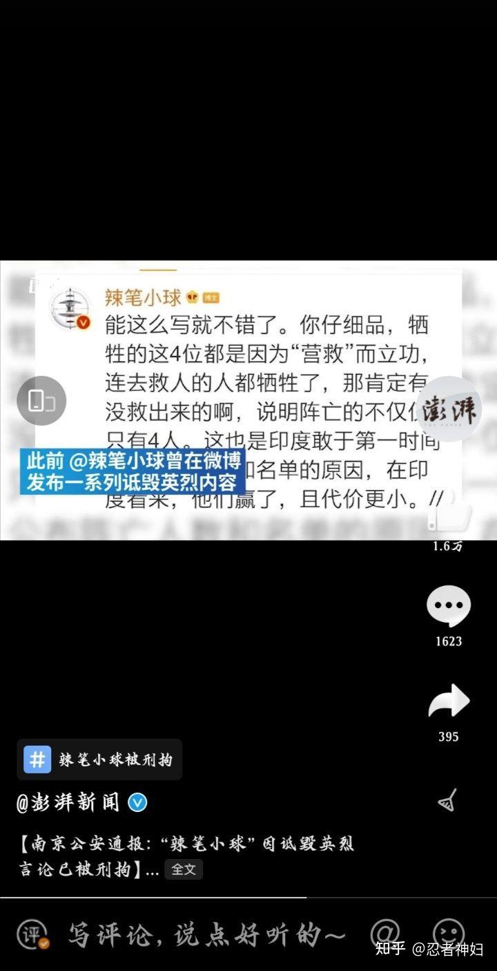 如何看待网民辣笔小球因诋毁戍边英雄被刑拘