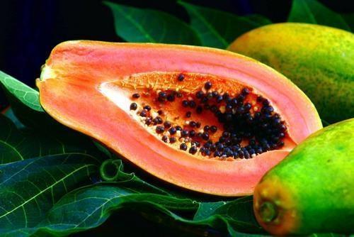 每天了解一种食材——番瓜