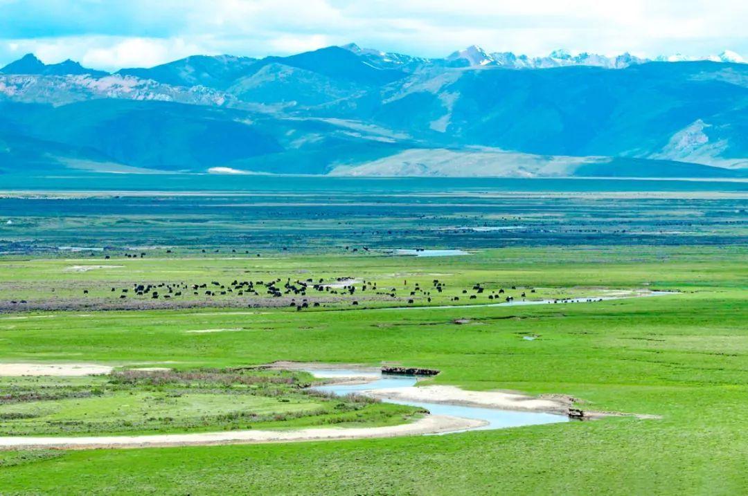 毛垭大草原位于四川省甘孜州理塘县县城以西,群山的环抱之中,如海的