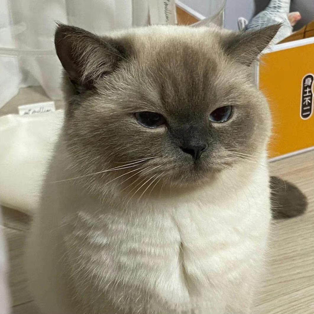 我是真懒啊