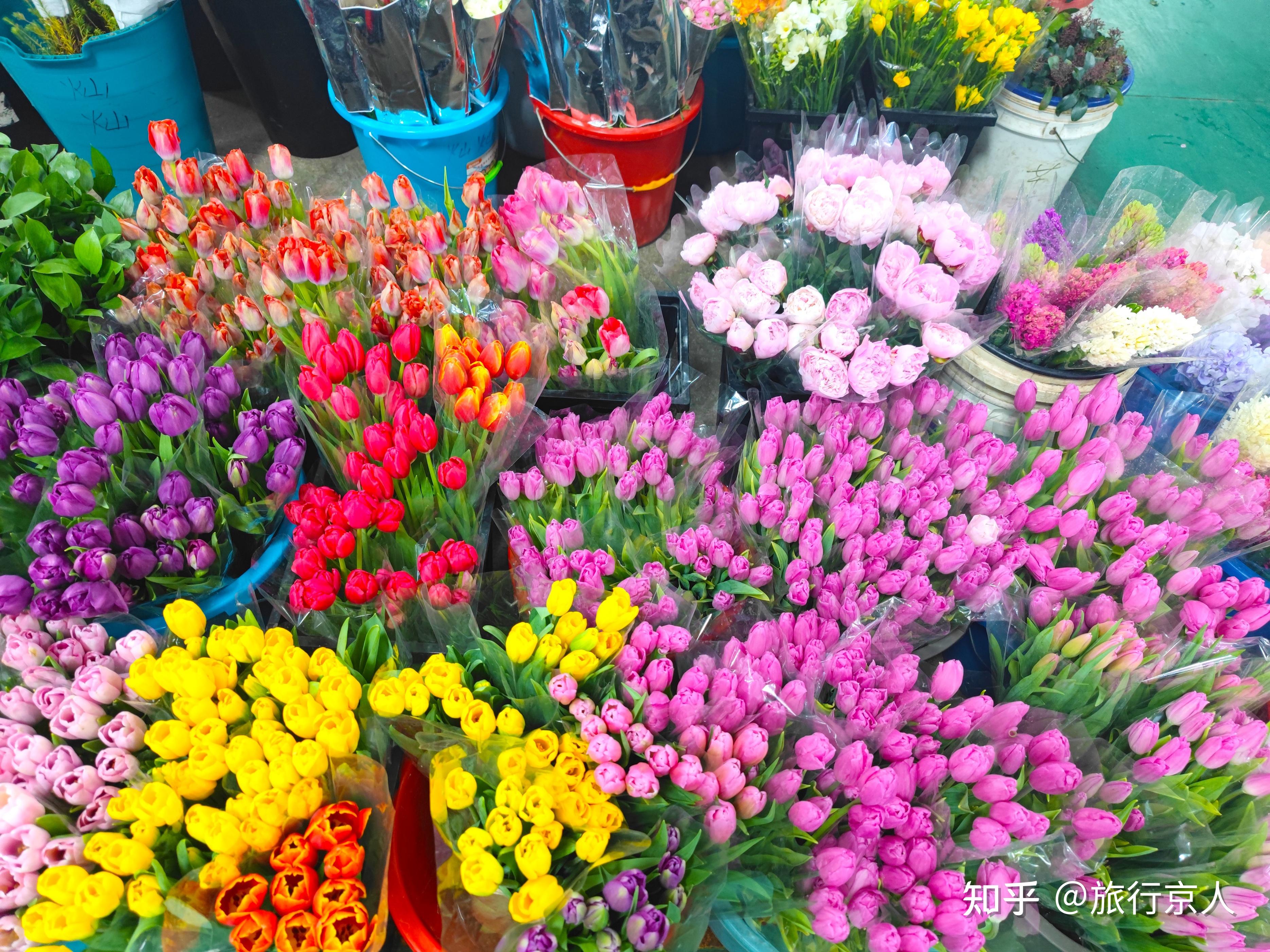 花卉市场图片浏览-花卉市场图片下载 - 酷吧图库