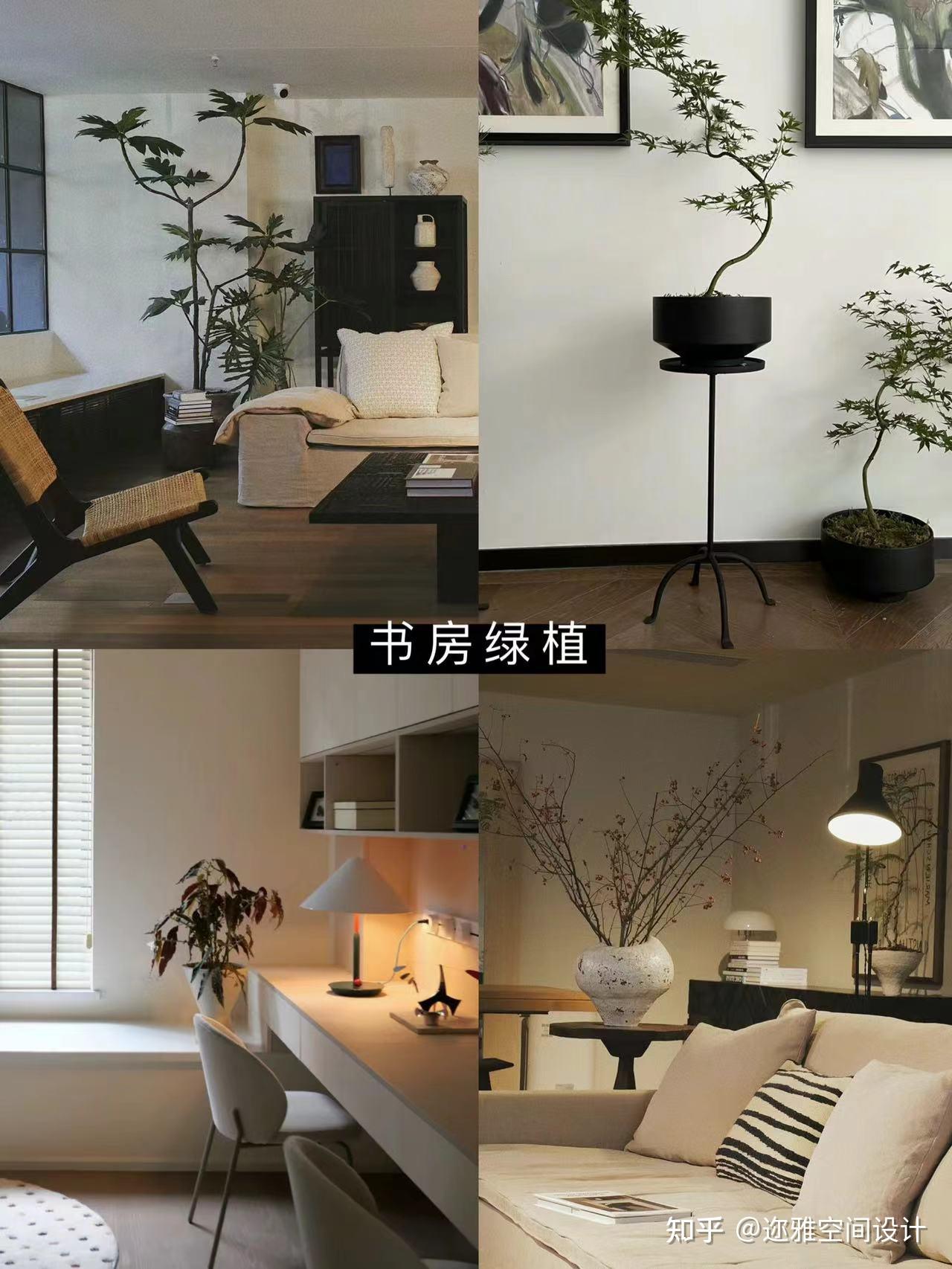 家居好物 | 用植物布置春天的家🪴 - 知乎