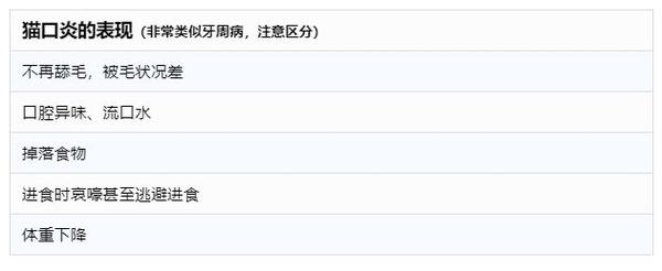 猫口炎 Feline Stomatitis 辨识 认知 控制与治愈 知乎