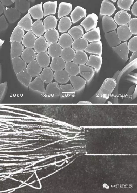 你知道海岛纤维吗