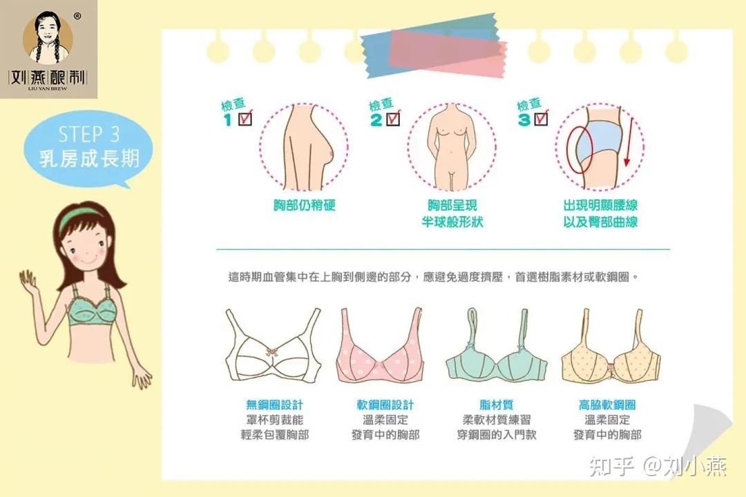 刘燕酿制:乳房发育过程你了解过吗?