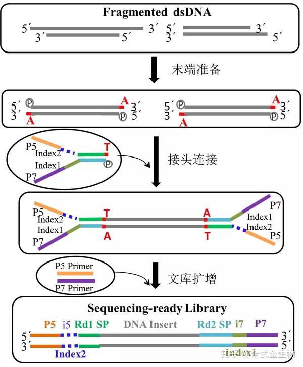 知乎专栏