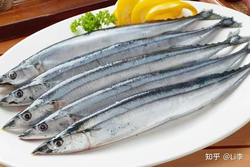 震惊日本核污水排海半年后秋刀鱼惊现夺命危机致癌物苯并芘超标高达40