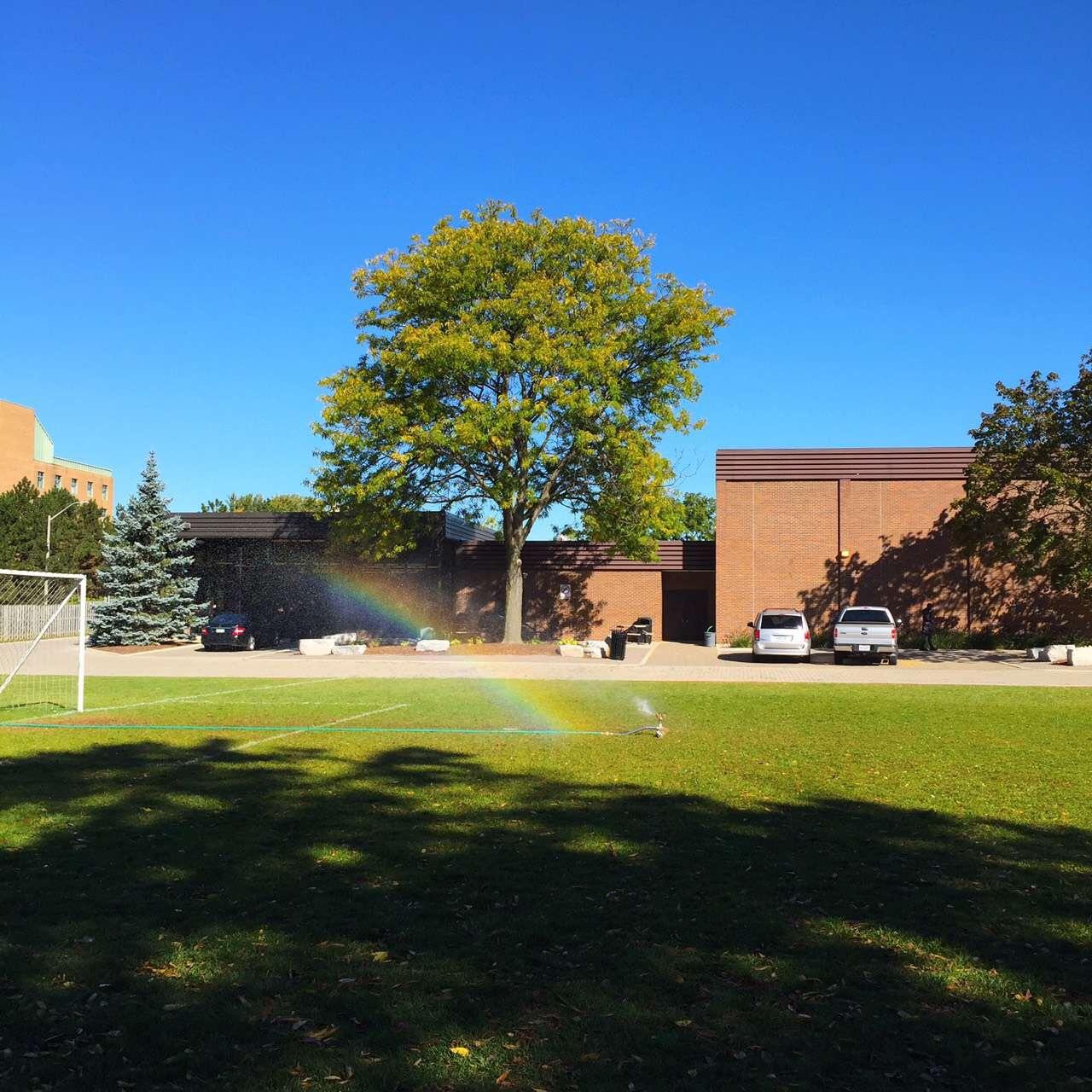 加拿大高中的真实生活是怎样的?