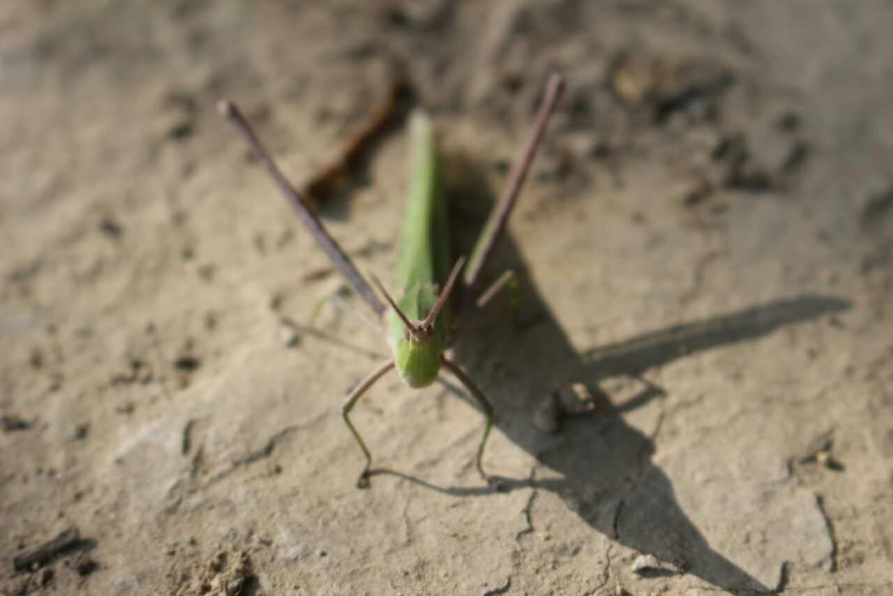 三四线城市的内蒙古赤峰市,人们的在高消费低