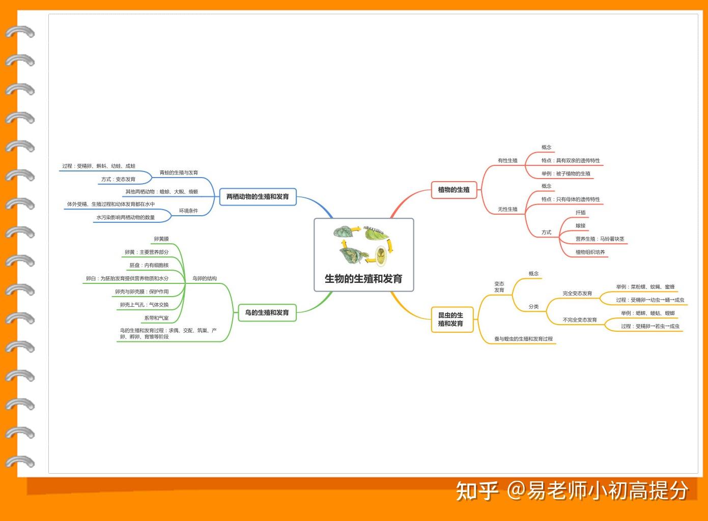 生物思维导图八年级下图片