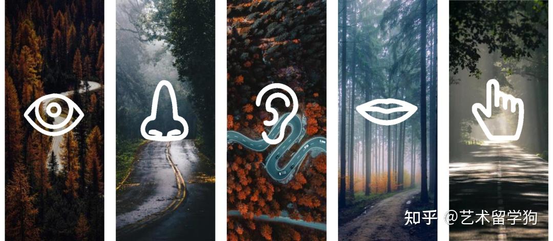 课程笔记五感设计的运用