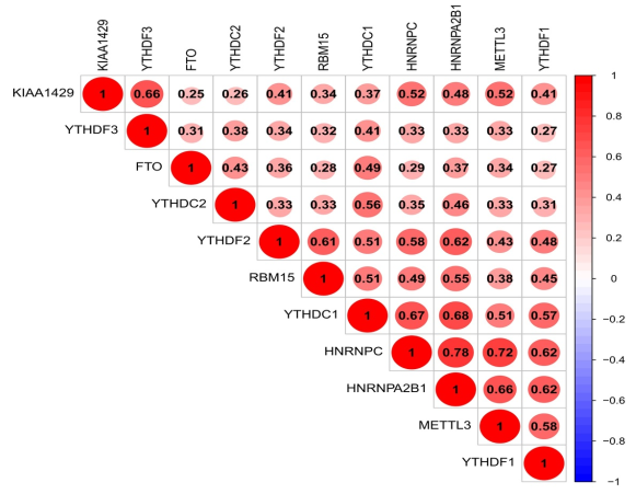 R相关性图如何按比例显示相关系数 - 知乎
