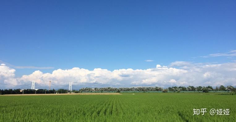 在石狩平原广阔的田园地带,被指定为特别暴雪地带.