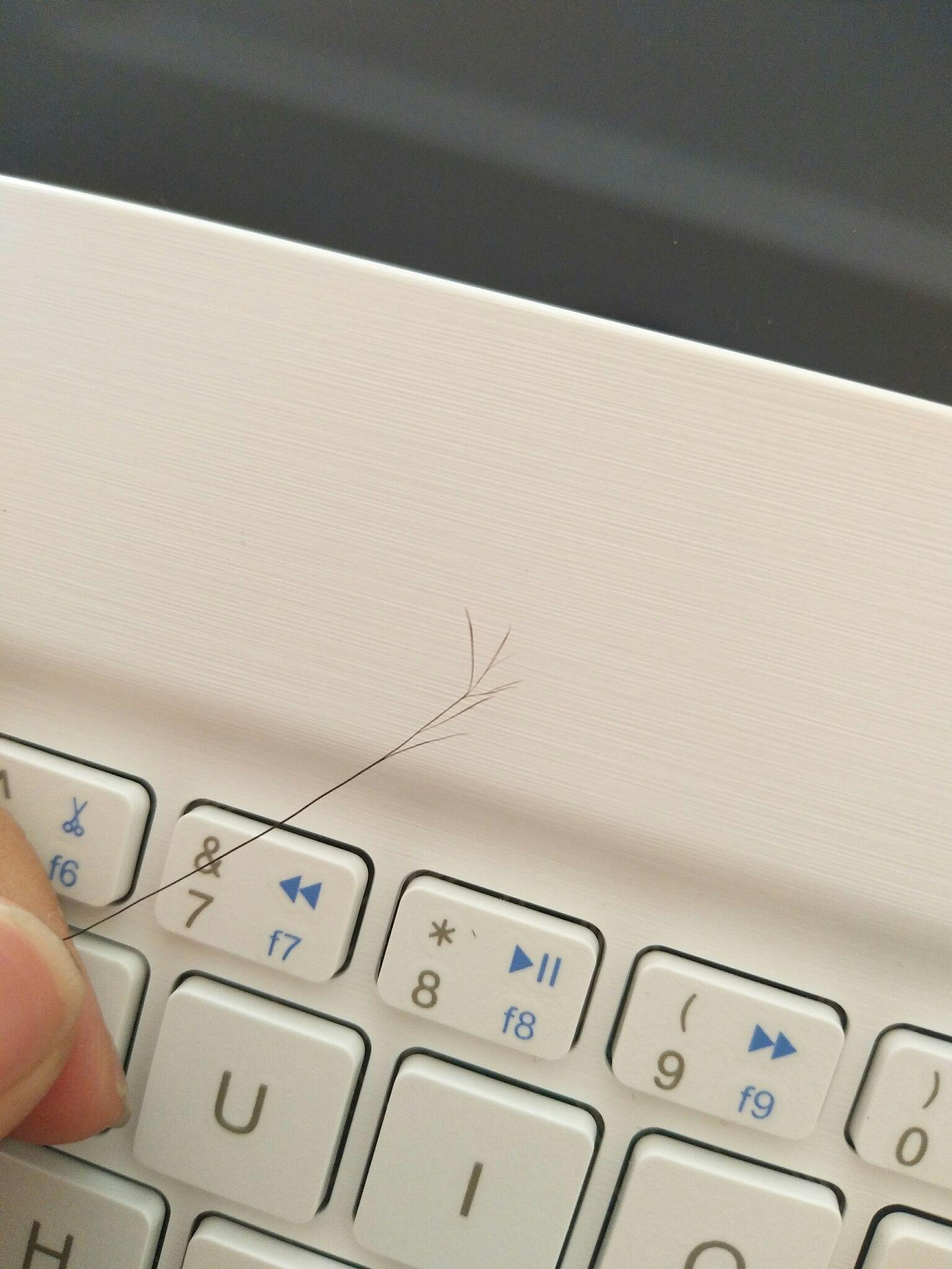 一根头发可以分叉成什么样