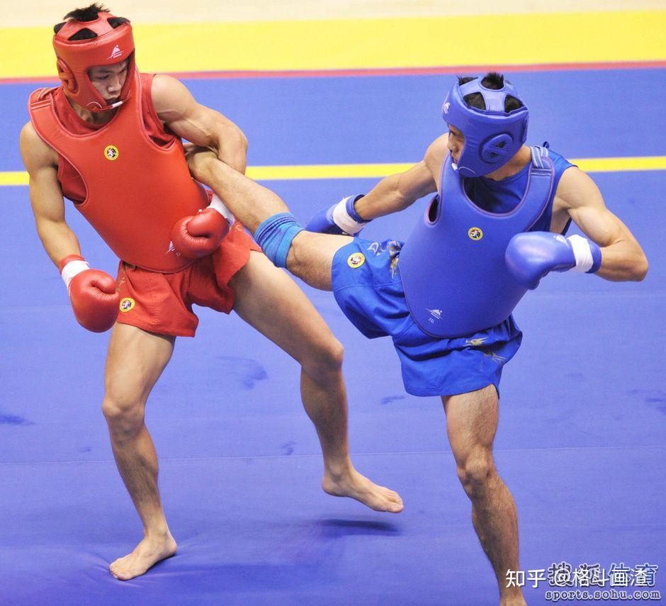 散打,自由搏击,综合格斗傻傻分不清,一文区分搏击格斗细分领域 - 知乎