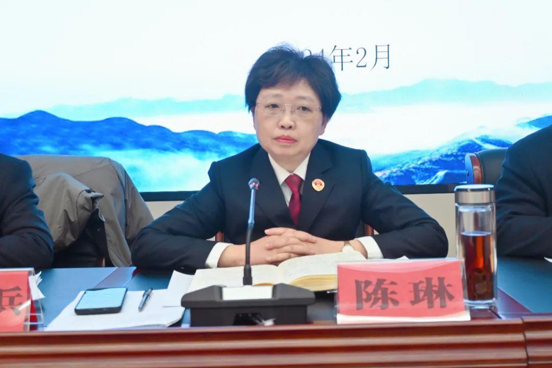 陈琳在总结讲话中,从去年怎么看,今年怎么干,春节怎么过等方面,总结了