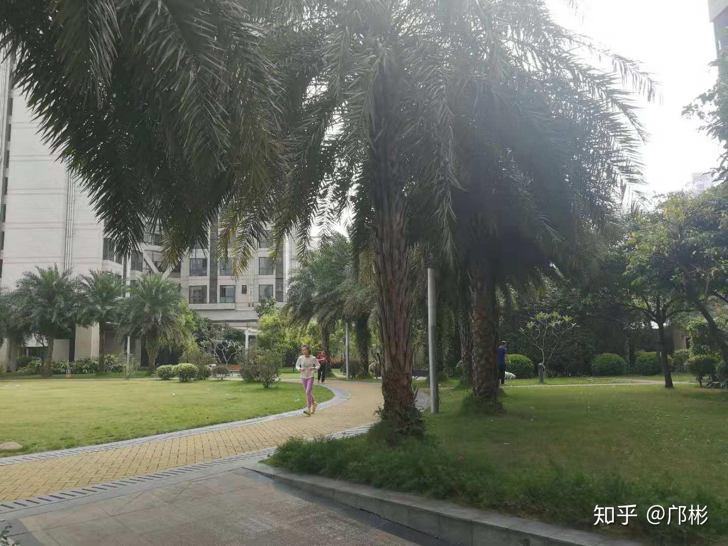 小趙學買房海珠光大花園最年輕中海橡園國際踩盤報告