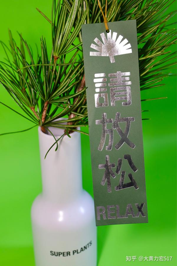 超级植物公司放青松 - 知乎