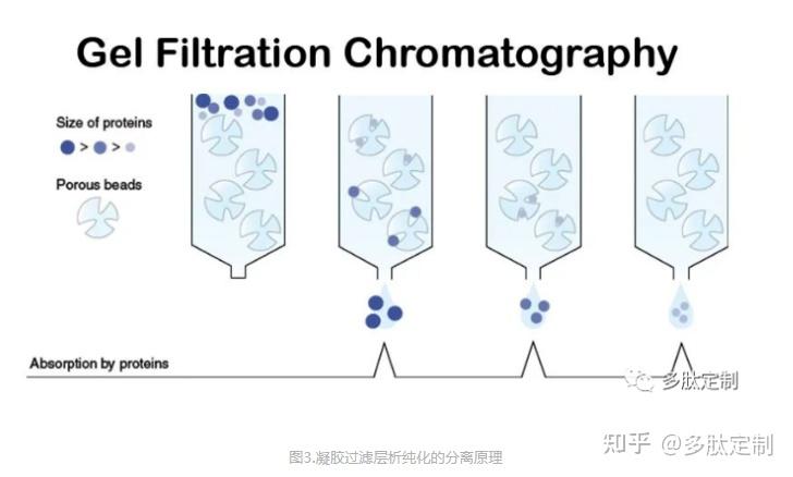 蛋白纯化常用方法简介 - 知乎