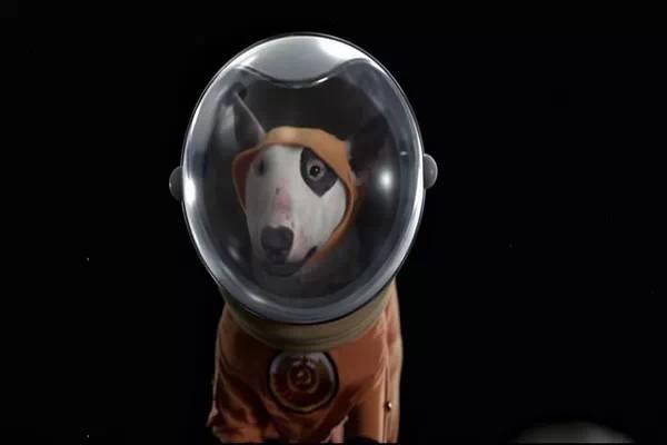 典型的好莱坞犬类电影,故事如其名所说,五只巴迪飞上太空,开始冒险之