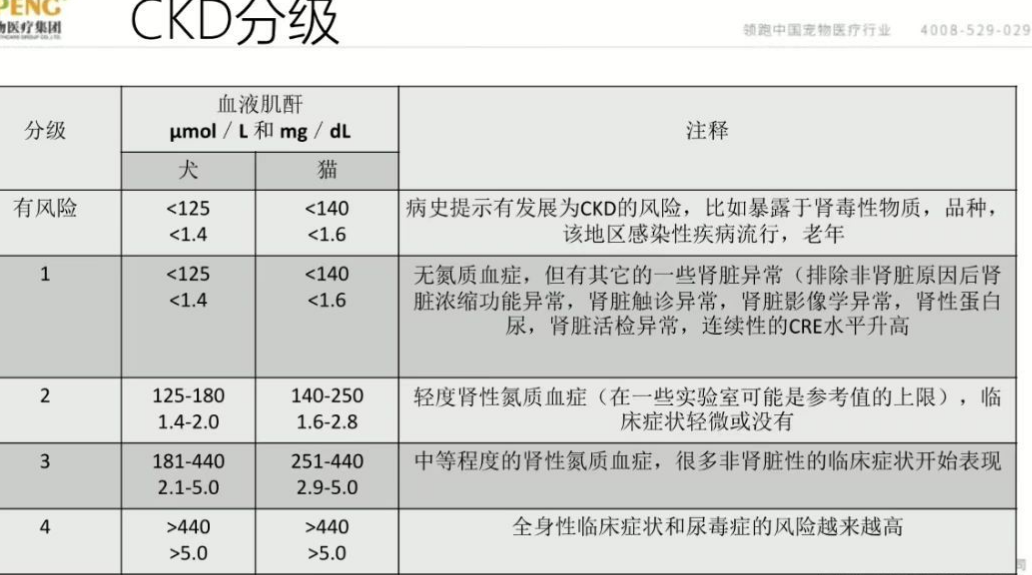 关于犬猫慢性肾衰(ckd)