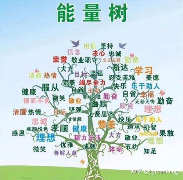 生命之树与生命能量 - 知乎