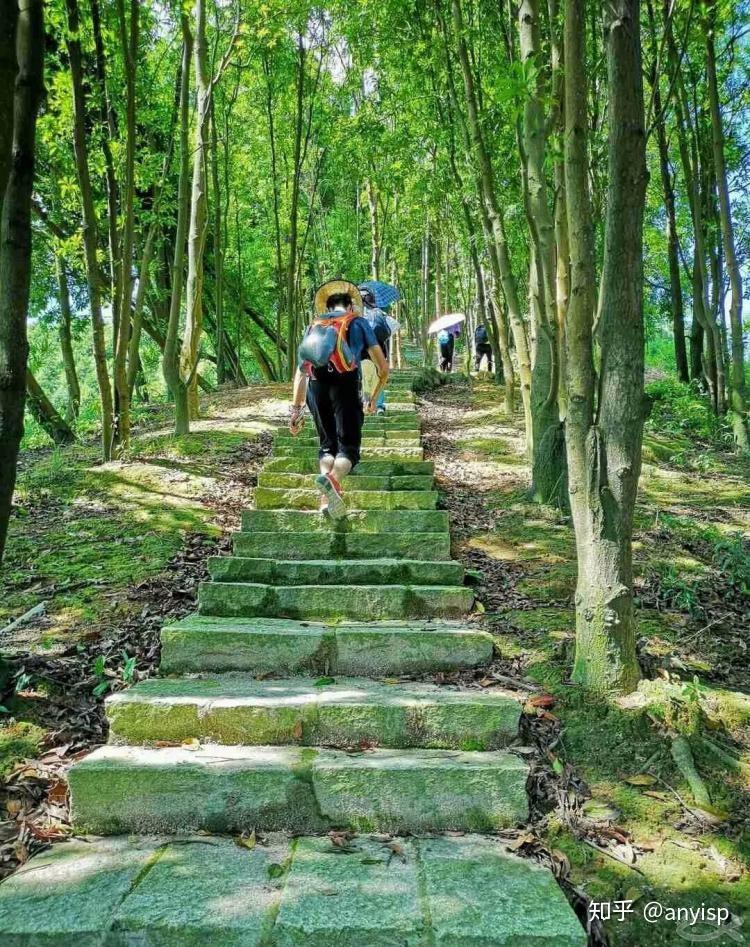 发个土特产一起爬山吗正经的那种厦门爬山指南得闲就去