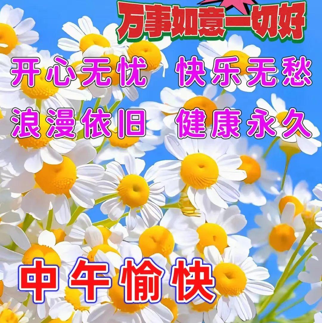 中午好图片，今日最新中午好图片大全，祝福美好 - 知乎