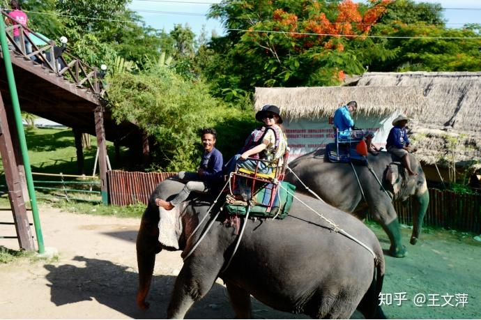 买了走着瞧旅行社组织的泰国游,有去过的朋友