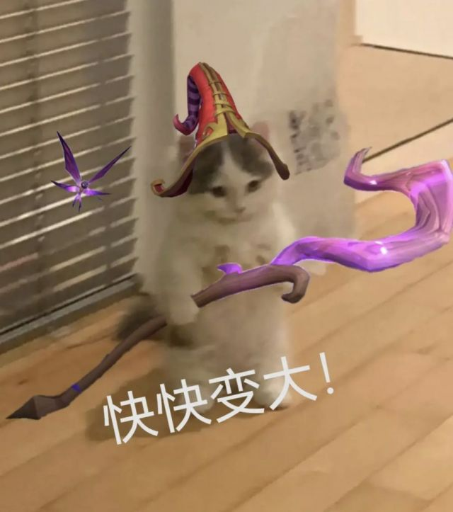 lol魔法猫咪游戏内表情图片