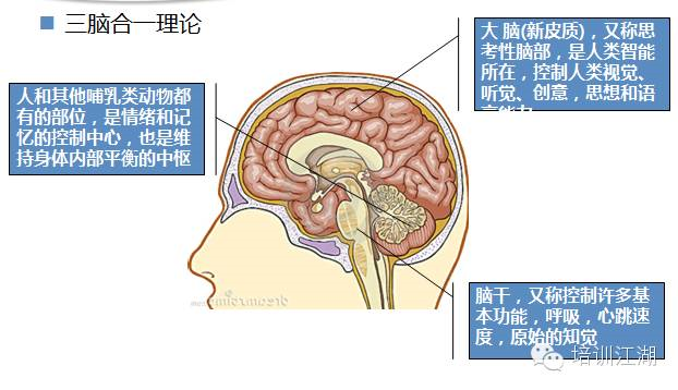 1,情绪和记忆属小脑同一部分控制,因此:a: 学员对引发强烈情绪的事物